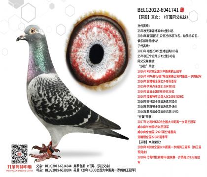 3ĸ��-6041741