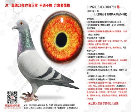 ������������������ӥ�Ĺ��ۺ�146��