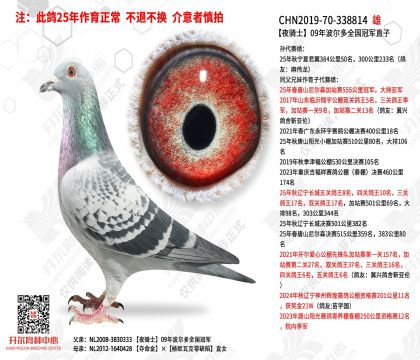��ҹ��ʿ��09�겨����ȫ���ھ�ֱ��
