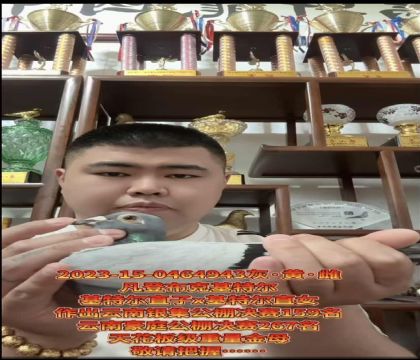 �ƹ������ѡ�����ǲ��ˡ����ض���ֱ��X�����ض���ֱŮ