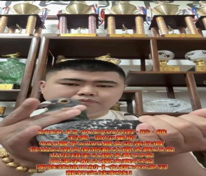 ���ٷ��������º،���˹003ֱ��xֱŮ��������