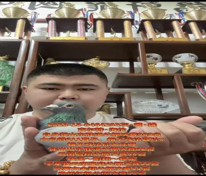 ������ӮǮ������������.����ñ��Ϸ��ֱ��Xñ��Ϸ����Ů