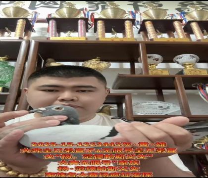 �ƹ󴨹���ʵս��������.������˹��Ů��ֱ��X���޺�ֱŮ
