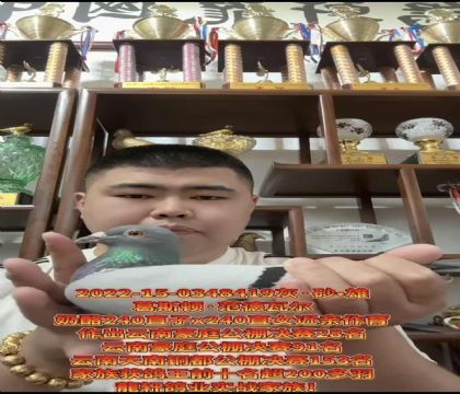 �����������ۣ���˹������240ֱ��X240ֱŮ��������