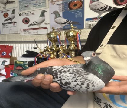 4.������703