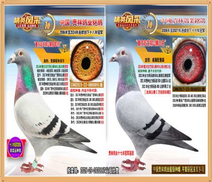 ��������蹫��ھ�ֱ��.ƽ������Ǿ�����