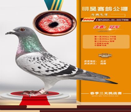 ��껾����ھ�