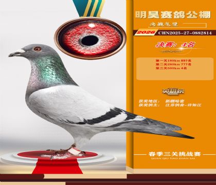 ��껾���4��
