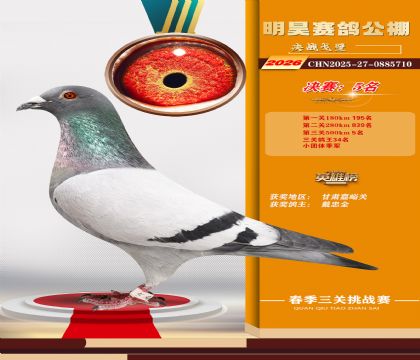 ��껾���5��