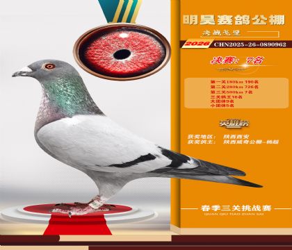 ��껾���7��