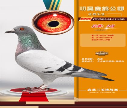 ��껾���9��