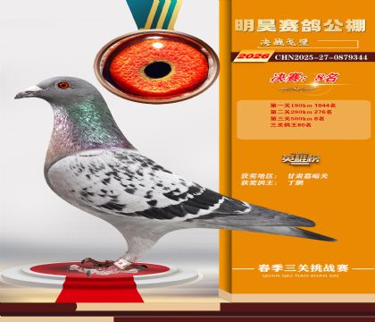 ��껾���8��