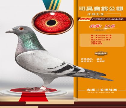 ��껾���11��