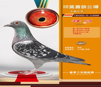 ��껾���12��
