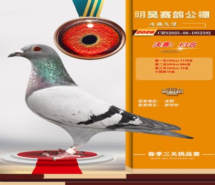 ��껾���13��