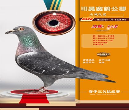 ��껾���14��