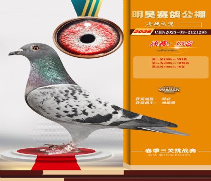 ��껾���15��