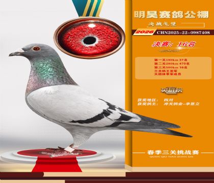 ��껾���16��