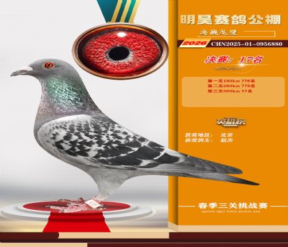 ��껾���17��