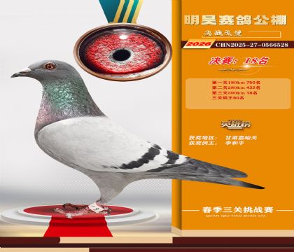 ��껾���18��
