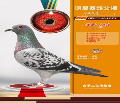��껾���19��