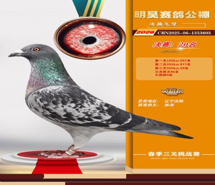 ��껾���20��