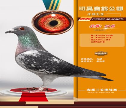 ��껾���21��