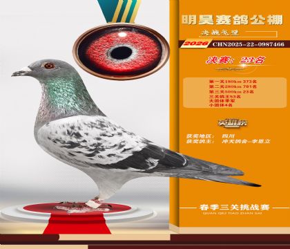 ��껾���23��