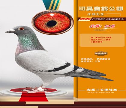 ��껾���24��