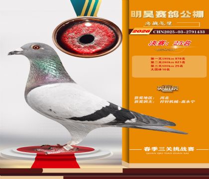 ��껾���25��