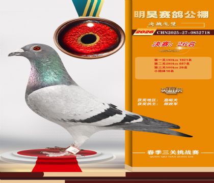 ��껾���26��