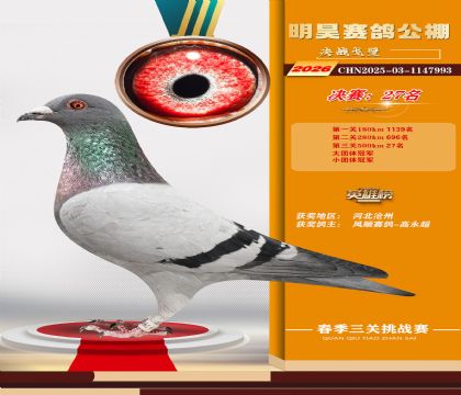 ��껾���27��