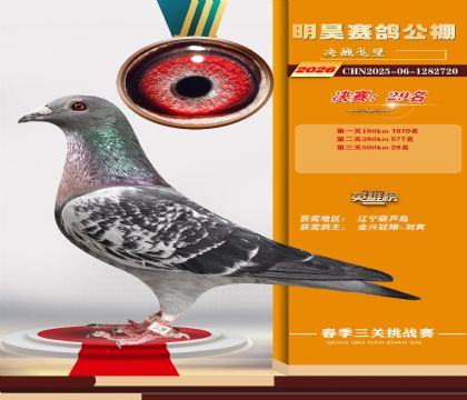 ��껾���29��