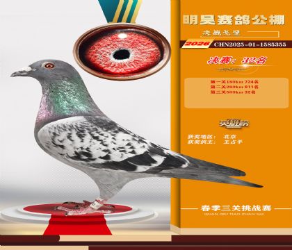 ��껾���32��