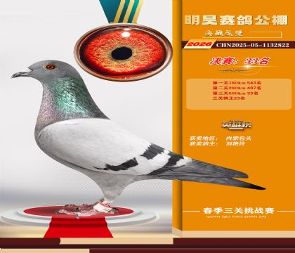 ��껾���33��