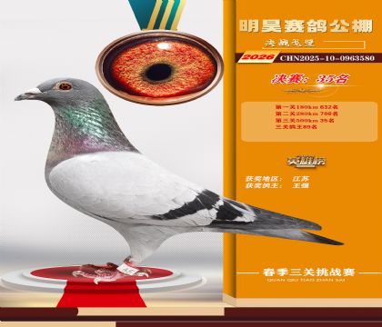��껾���35��