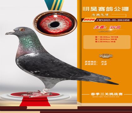 ��껾���36��