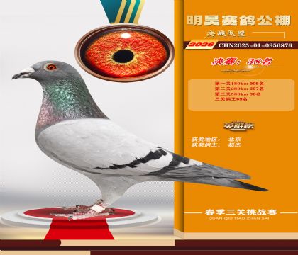 ��껾���38��