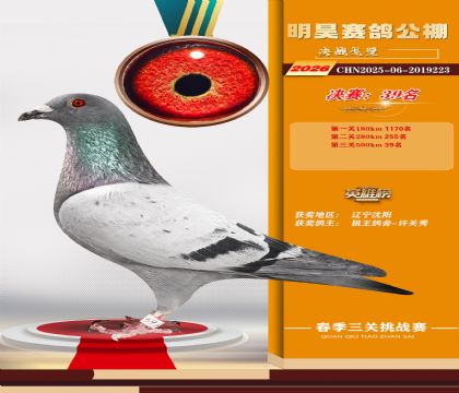 ��껾���39��