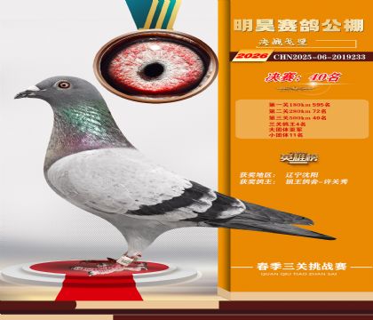 ��껾���40��