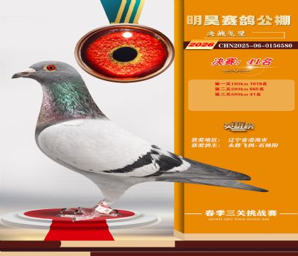 ��껾���41��