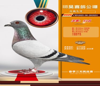 ��껾���43��