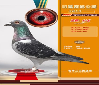 ��껾���44��