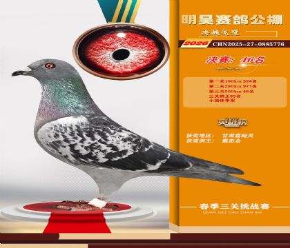 ��껾���46��