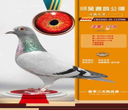 ��껾���47��