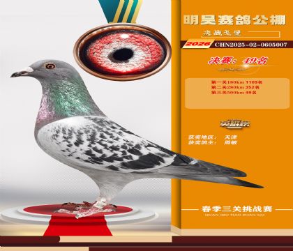 ��껾���49��