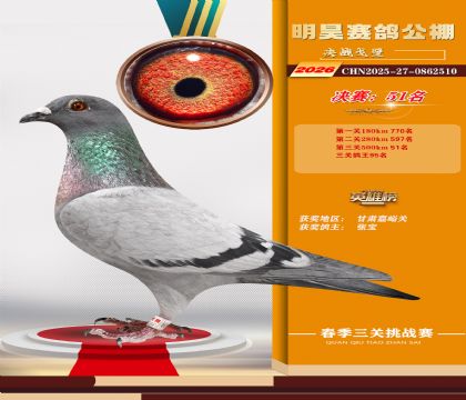 ��껾���51��