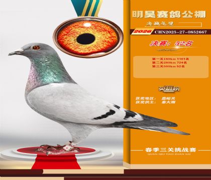 ��껾���52��