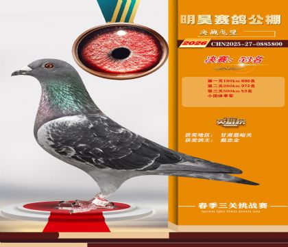 ��껾���53��