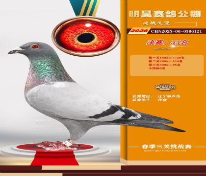 ��껾���55��